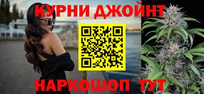 гидра Краснодар