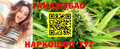 гидра Краснодар