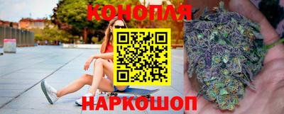 гидра Краснокаменск