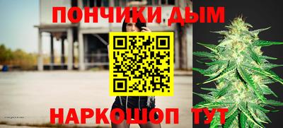 гидра Краснокаменск